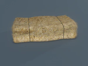 hay bale 3D Model