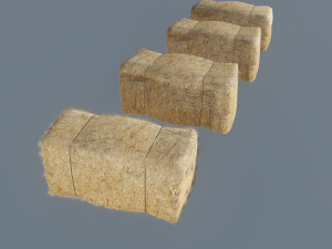 hay bale 3D Model