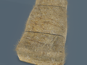 hay bale 3D Model