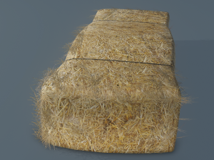 hay bale 3D Model