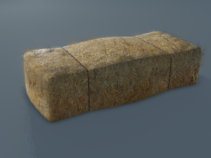 hay bale 3D Model