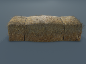 hay bale 3D Model