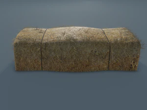 hay bale 3D Model