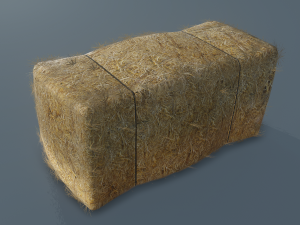 hay bale 3D Model