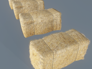 hay bale 3D Model