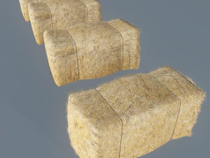 hay bale 3D Model