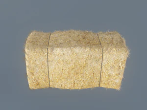 hay bale 3D Model