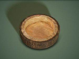 Bark bowl short 3D Model