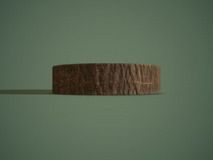 Bark bowl short 3D Model