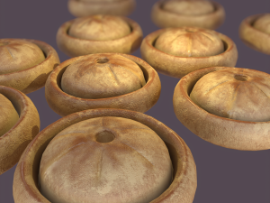 Medieval meat pie Model 3D