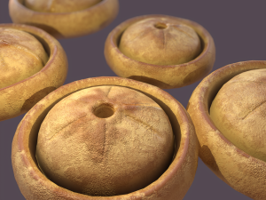 Medieval meat pie Model 3D