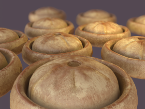 Medieval meat pie Model 3D