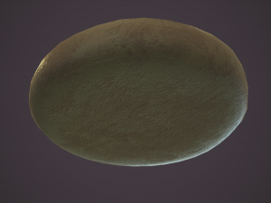 Medieval meat pie Model 3D