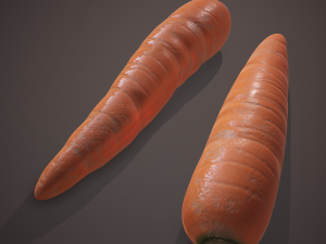 Carrots 3D-Modell