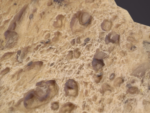 eaten piece of bread Modello 3D