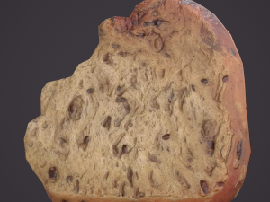 eaten piece of bread Modello 3D