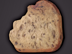 eaten piece of bread Modello 3D