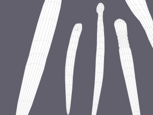 Medieval needles and make up scoop 3D 模型