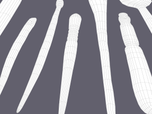 Medieval needles and make up scoop 3D 模型