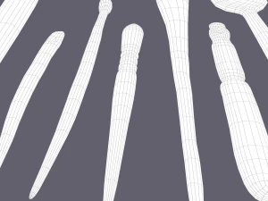 Medieval needles and make up scoop 3D Model