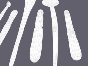 Medieval needles and make up scoop 3D 模型