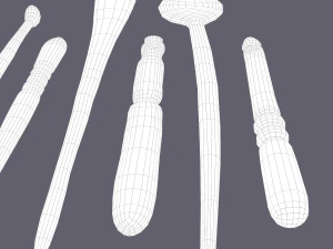Medieval needles and make up scoop 3D Model