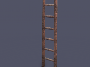 Medieval ladder 3D-Modell