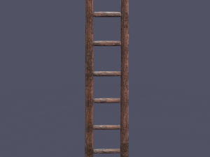 Medieval ladder 3D-Modell