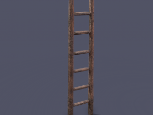 Medieval ladder 3D-Modell