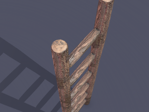 Medieval ladder 3D-Modell
