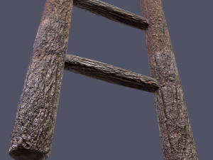 Medieval ladder 3D-Modell