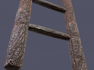 Medieval ladder 3D Model
