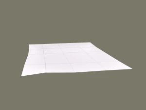 Ancient bird carpet 3D Model