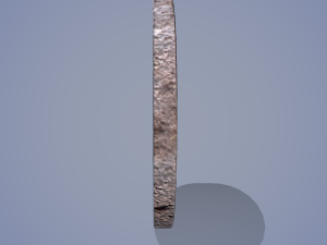 Medieval coin 3D 모델