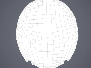 skull 3D Model