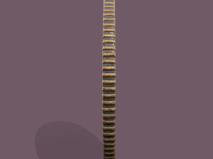 viking coin 3D Model