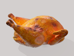Stuffed turkey Modèle 3D