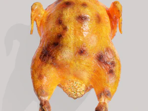 Stuffed turkey 3D Model