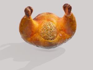 Stuffed turkey Modèle 3D