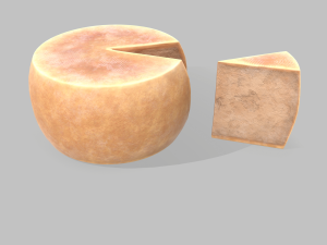 Parmesan cheese wheel Model 3D