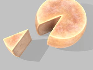 Parmesan cheese wheel Model 3D