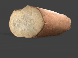 Bread piece 3D Model