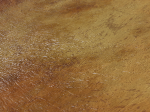 Ancient terracotta plate Modelo 3D