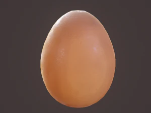 ovo marrom Modelo 3D