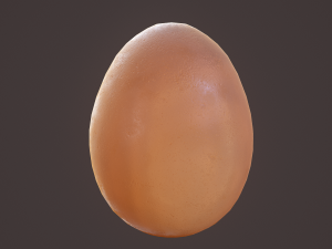 brown egg 3D Model