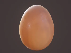 brown egg 3D Model