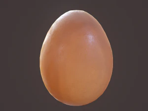 brown egg 3D Model