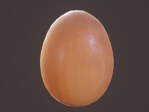 brown egg 3D Model