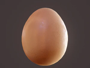 brown egg 3D Model