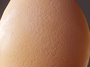 brown egg 3D Model